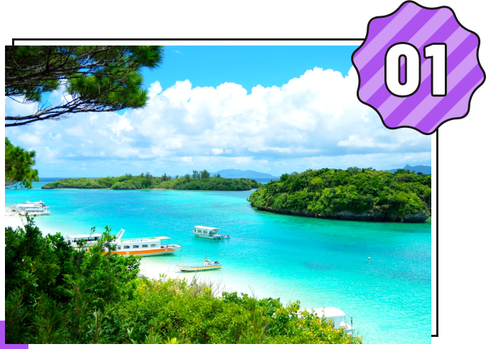 クルージングや石垣島旅行ができる!?